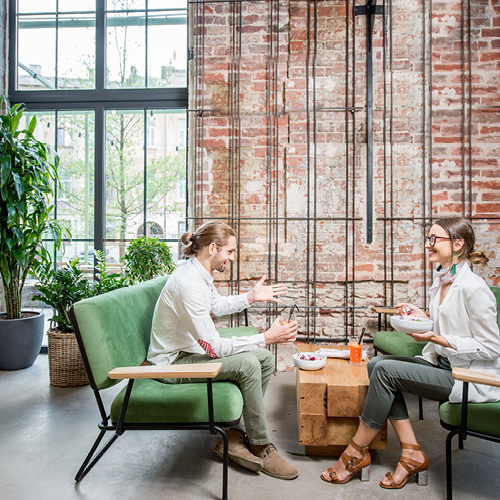 Grünes Büro: Beispielbild für Pflanzen am Arbeitsplatz