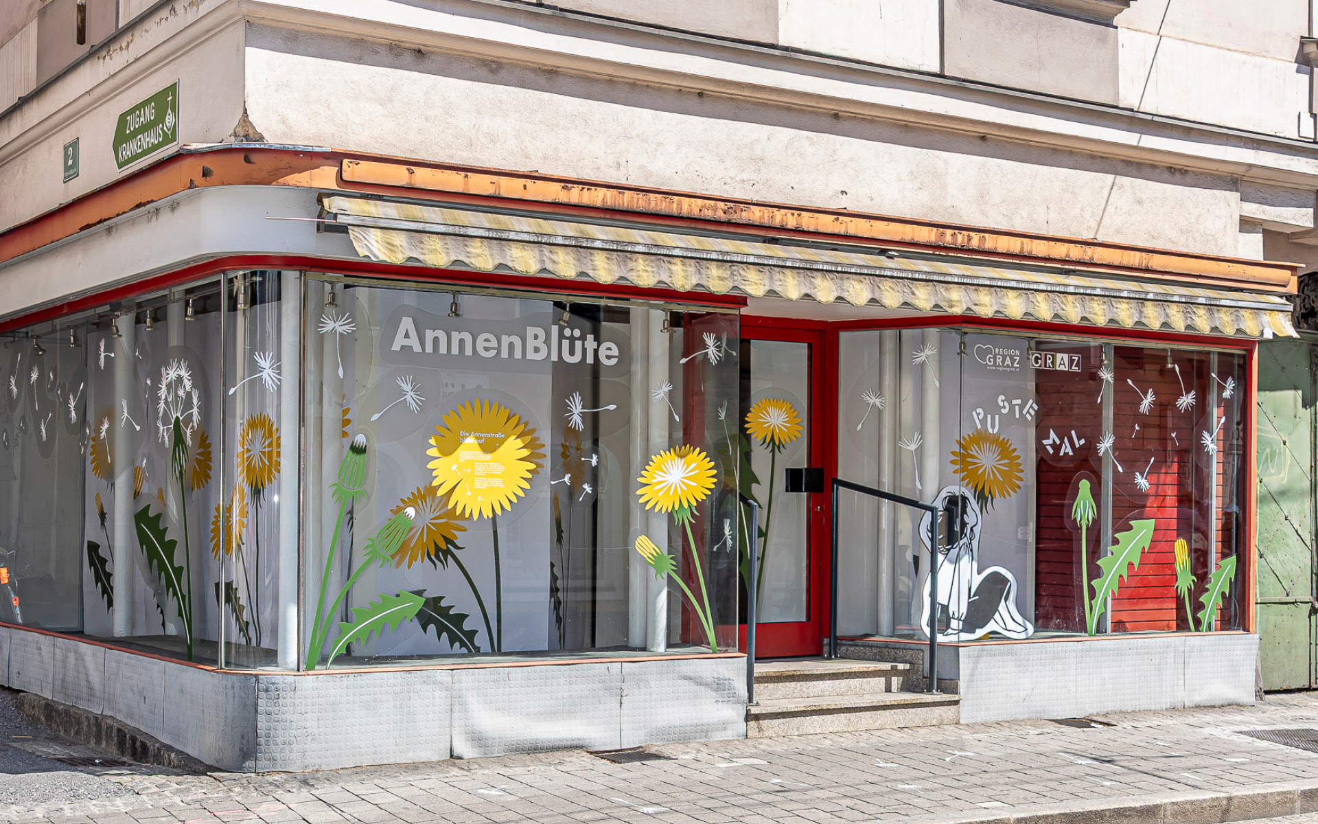 Foto-Point in der Annenstraße mit Löwenzahn und Pusteblume als Motiv