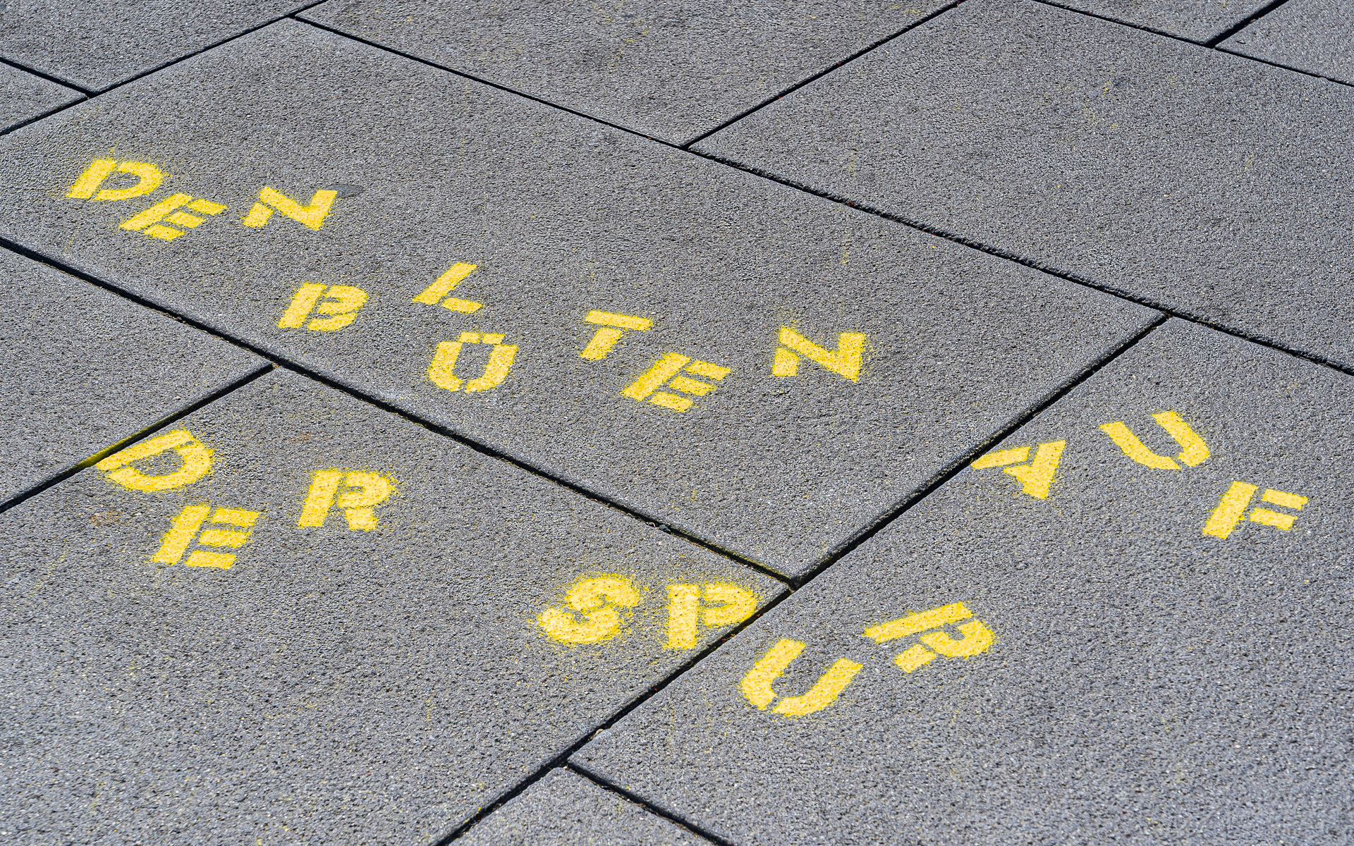 Den Blüten auf der Spur – Sprühkreide auf Asphalt