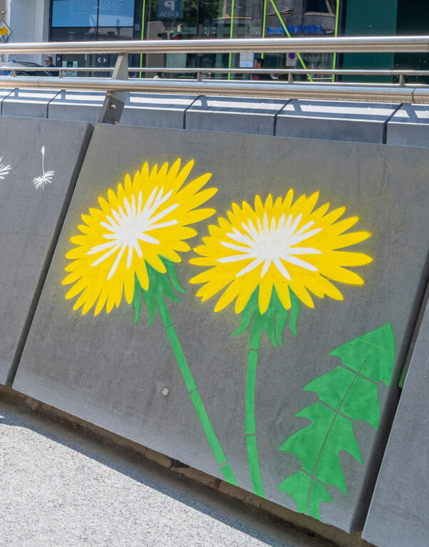 Stencil-Motiv "Löwenzahn" mit Sprühkreide an Tram-Unterführung aufgebracht