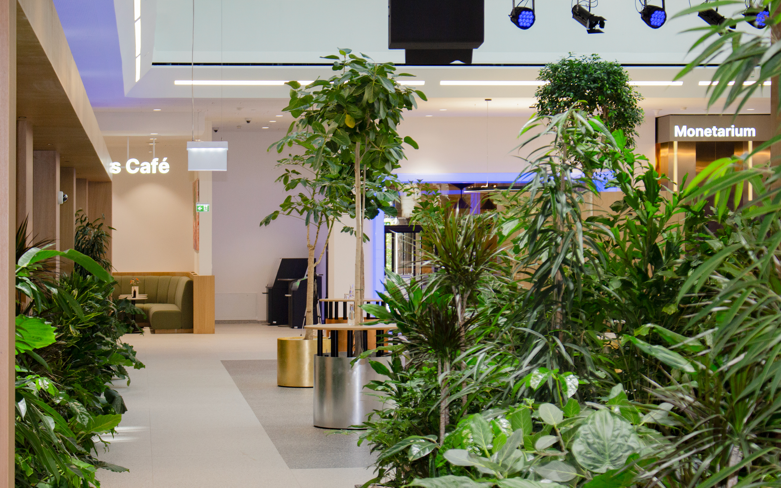 LOOK_Showcase_web_Sparkasse_Oberoesterreich_Linz_09_c-look-design